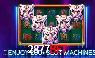 2877bet,2877bet.com