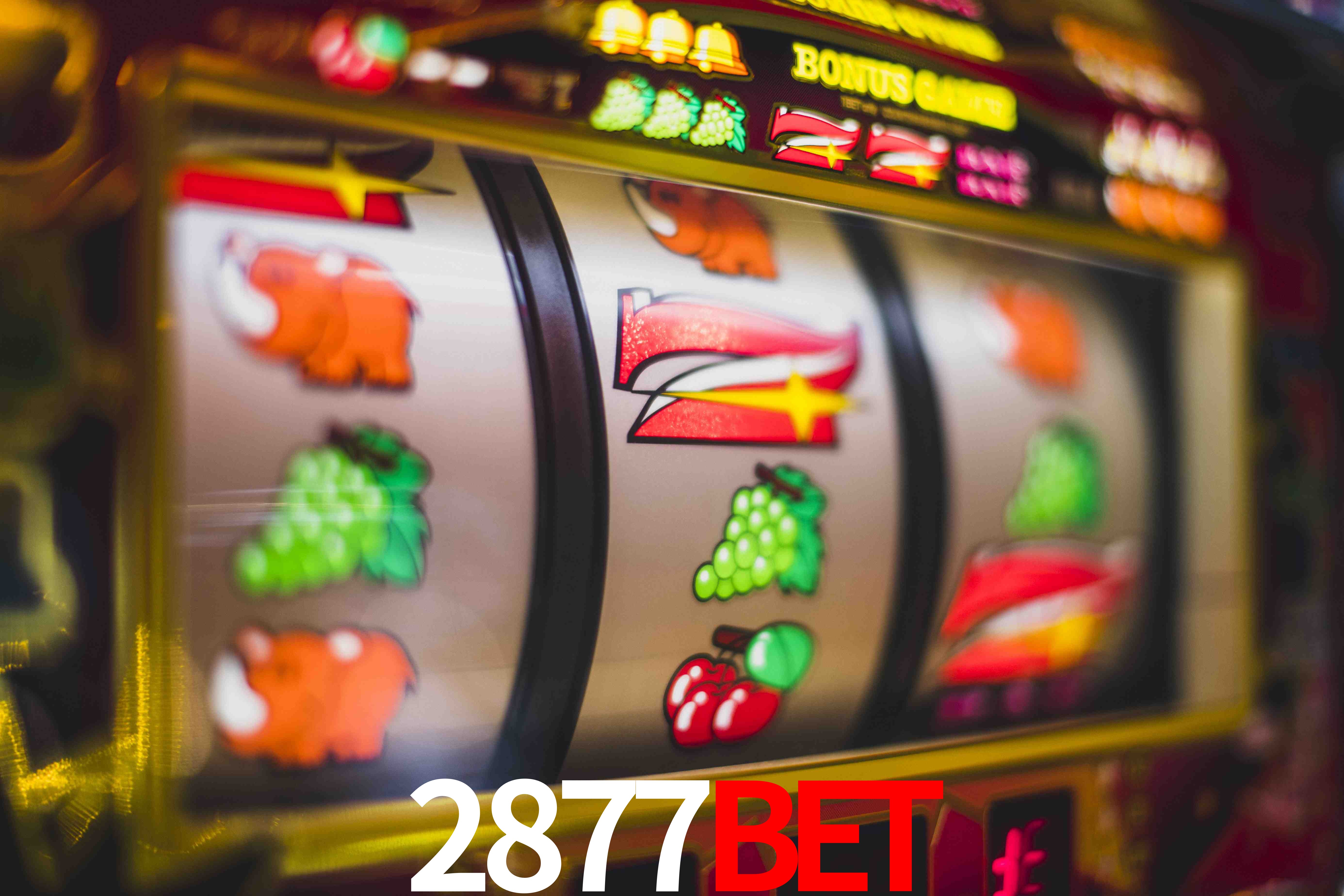 Live Casino 2877bet